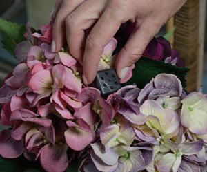 Security Cam a 59,99€