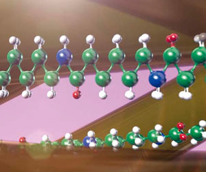 Dura Sheers 3x a 1.009 CZK