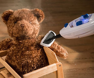 Steam mop a 2.251 CZK