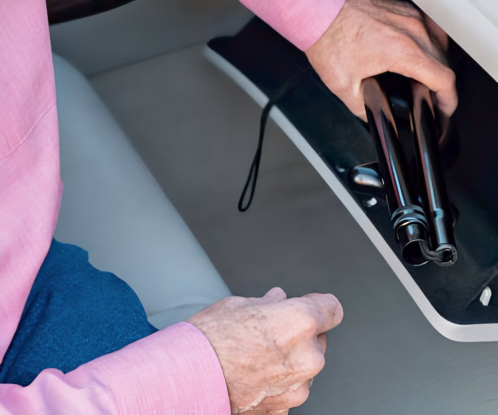 Wellpro Walking Stick a 49,99€