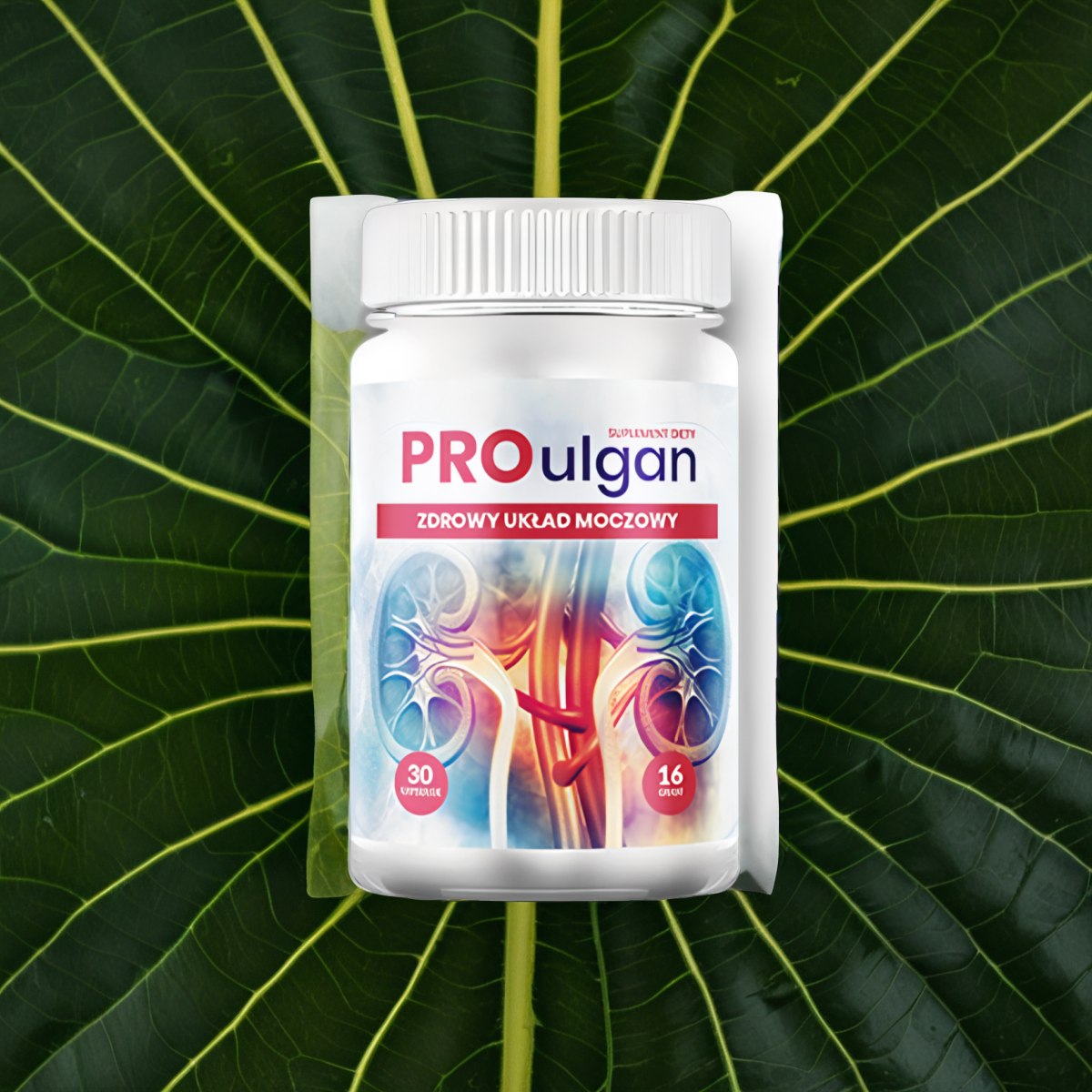 Proulgan