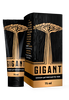 Gigant
